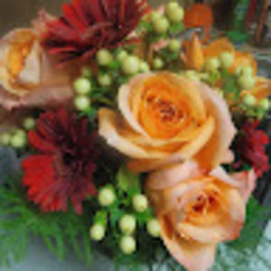 Meet your Posher, Tracy